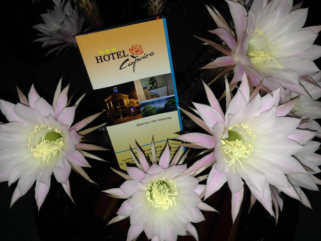 Caprice Hotel Avigliana Ngoại thất bức ảnh